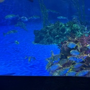 Photo submitted by Meixing