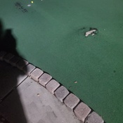 Photo submitted by Dawn