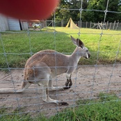 Photo submitted by Valerie