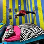 Photo submitted by Shelly