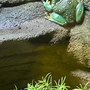 Photo submitted by Eunji