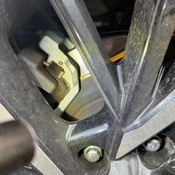 Photo submitted by Cynthia