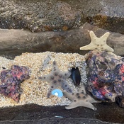 Photo submitted by Guest