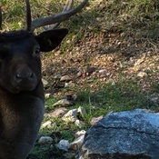 Photo submitted by jessica