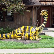 Photo submitted by Maggie