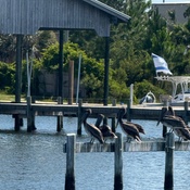 Photo submitted by Krystal