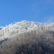 Photo submitted by Nurse