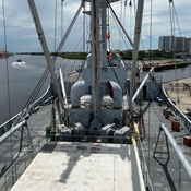 Photo submitted by Iris