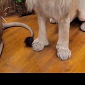 Photo submitted by Groupon