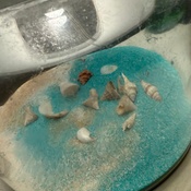 Photo submitted by daniela