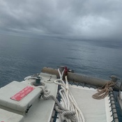 Photo submitted by Joeyaynn