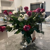 Photo submitted by Marina