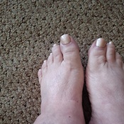 Photo submitted by Susan