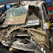 Photo submitted by JoAnna