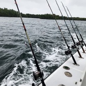 Photo submitted by John