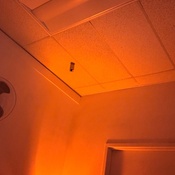 Photo submitted by Guest