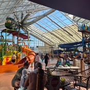 Photo submitted by Syed