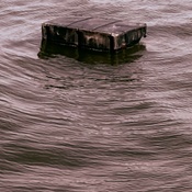 Photo submitted by Christine