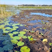 Photo submitted by Guest