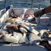 Photo submitted by Melissa