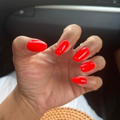 Photo submitted by Guest