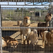 Photo submitted by Nora