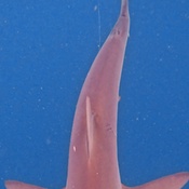 Photo submitted by Patricia