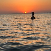 Photo submitted by Helen