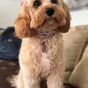 Photo submitted by Nadia