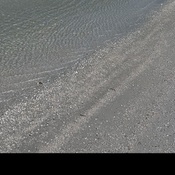 Photo submitted by Ginnie