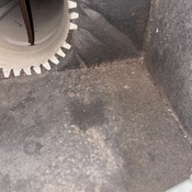 Photo submitted by Travis