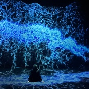 Photo submitted by Lisa