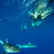 Photo submitted by Amy