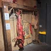 Photo submitted by Paige