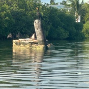 Photo submitted by Jennifer