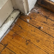 Photo submitted by Stephanie