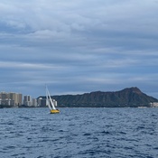 Photo submitted by Guest