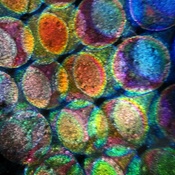 Photo submitted by Karen