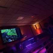 Photo submitted by Nintentendo