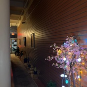 Photo submitted by Spiros