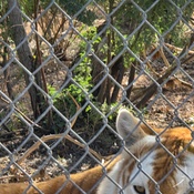 Photo submitted by James