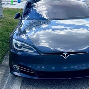 Photo submitted by Dexter