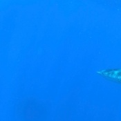 Photo submitted by Katie