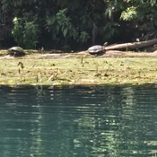 Photo submitted by Amanda