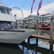 Photo submitted by Samson