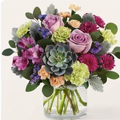 Photo submitted by Nichole