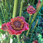 Photo submitted by Cathrine