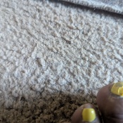 Photo submitted by Drishena