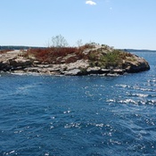 Photo submitted by M