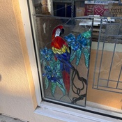 Photo submitted by Karina